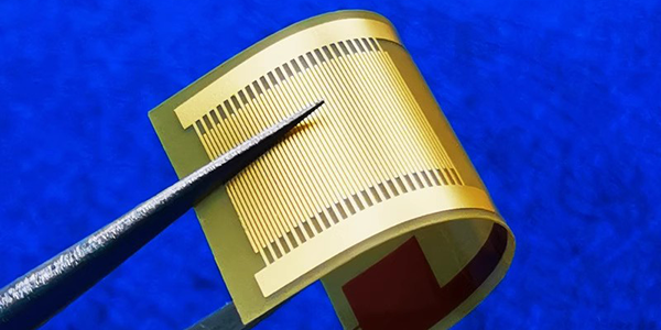 PI Interdigital Electrodes